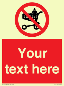 Custom prohibition no standing in trolley